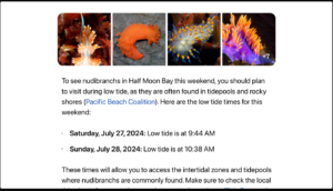OpenAI’dan SearchGPT